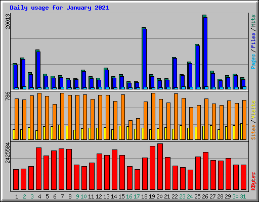 Daily usage for January 2021