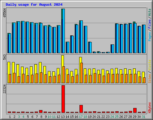 Daily usage for August 2024