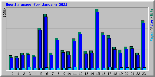 Hourly usage for January 2021