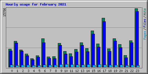 Hourly usage for February 2021