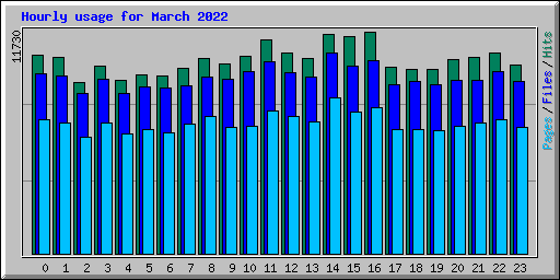 Hourly usage for March 2022