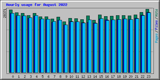 Hourly usage for August 2022