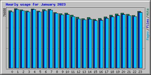 Hourly usage for January 2023