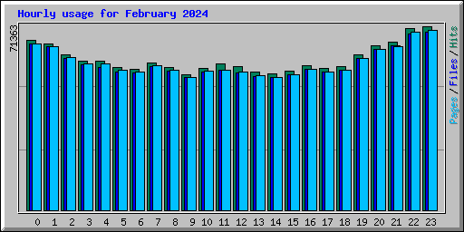 Hourly usage for February 2024