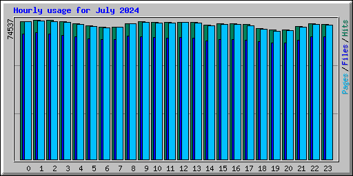 Hourly usage for July 2024