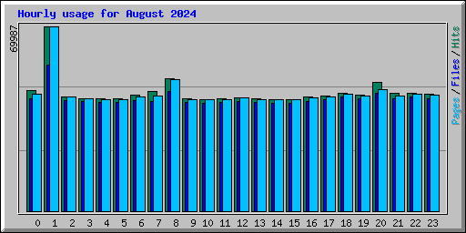 Hourly usage for August 2024